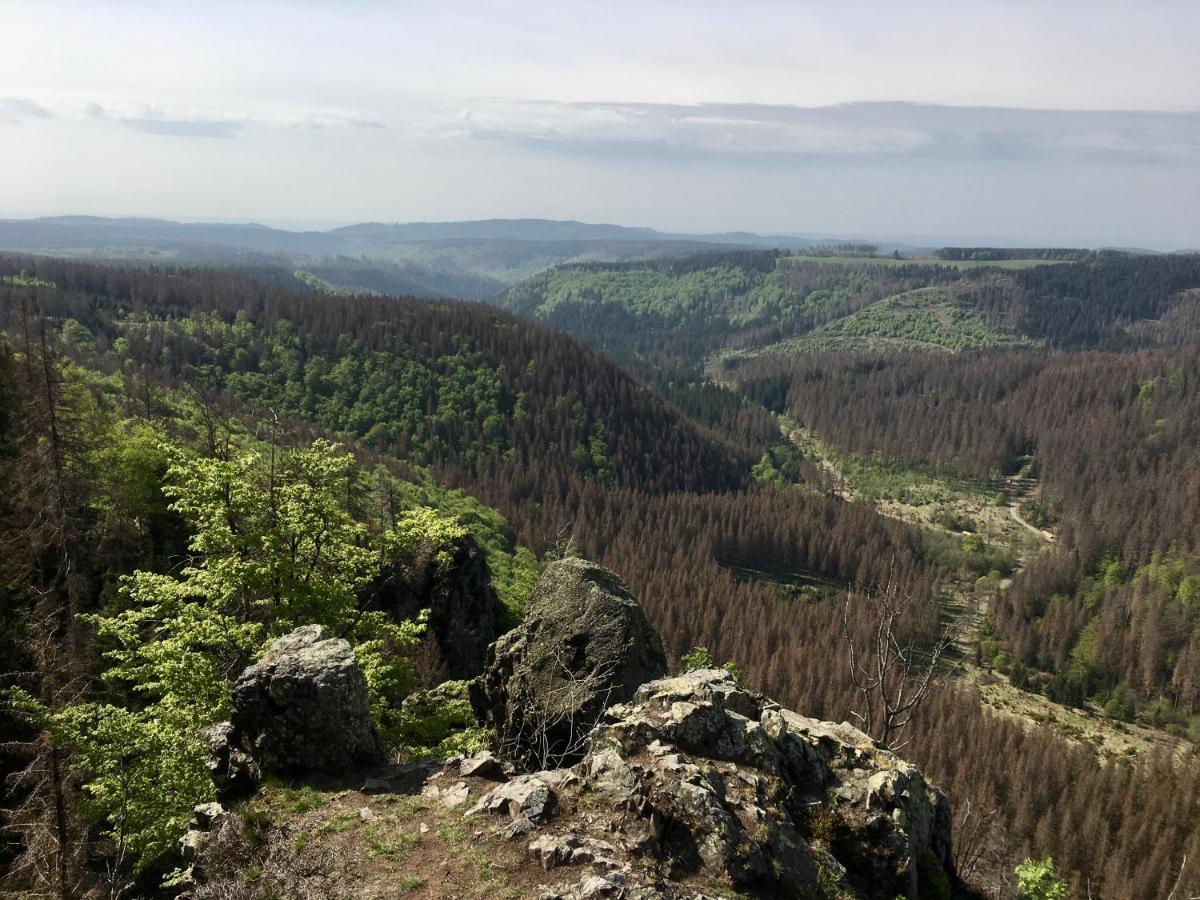 Apartmán Bergwelt Braunlage Exteriér fotografie