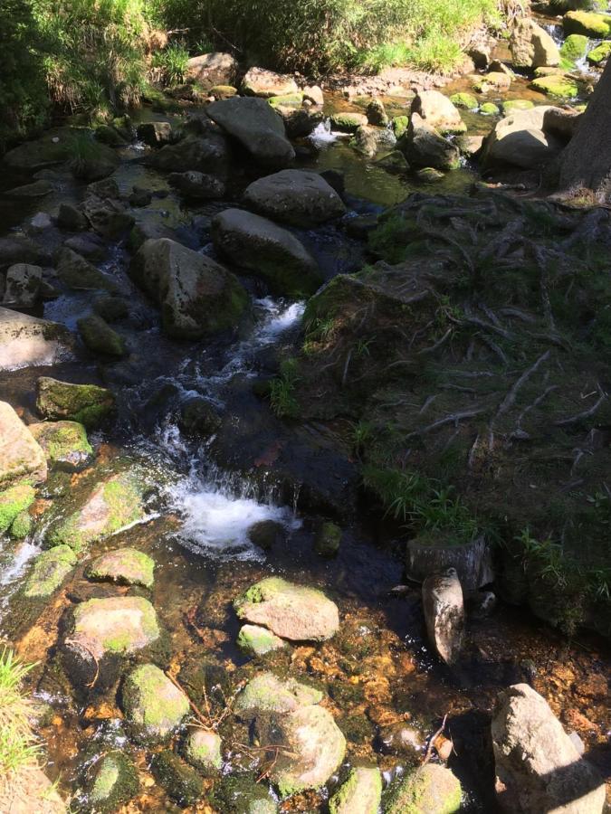 Apartmán Bergwelt Braunlage Exteriér fotografie